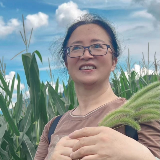 沙春梅